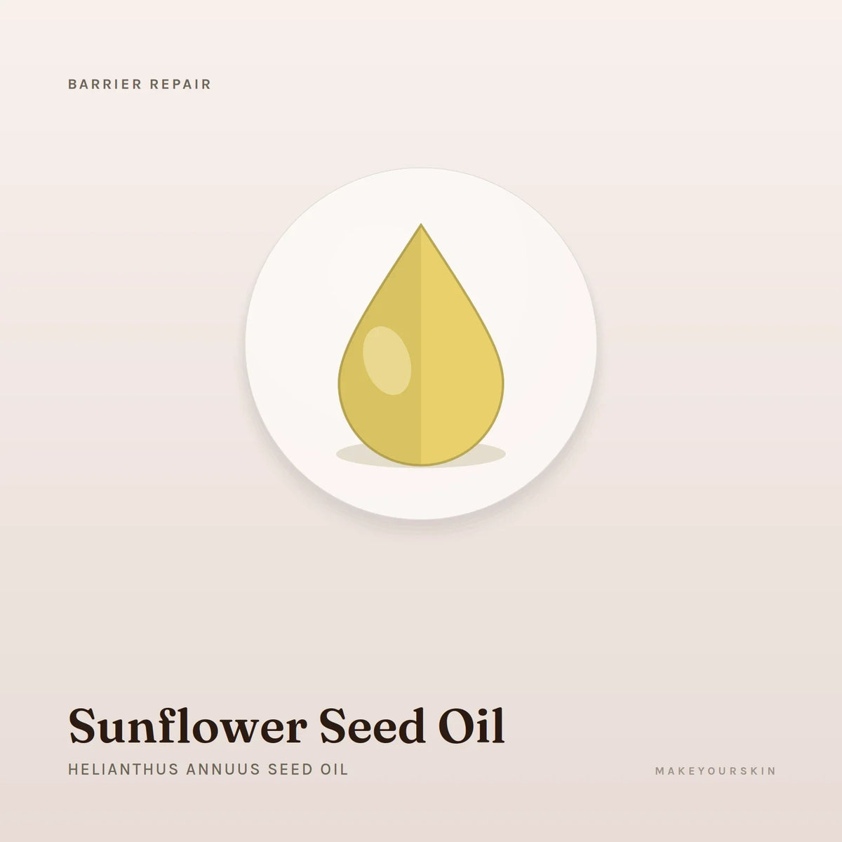 Sunflower Seed Oil (Helianthus Annuus Seed Oil) — oil, Global — MakeYourSkin