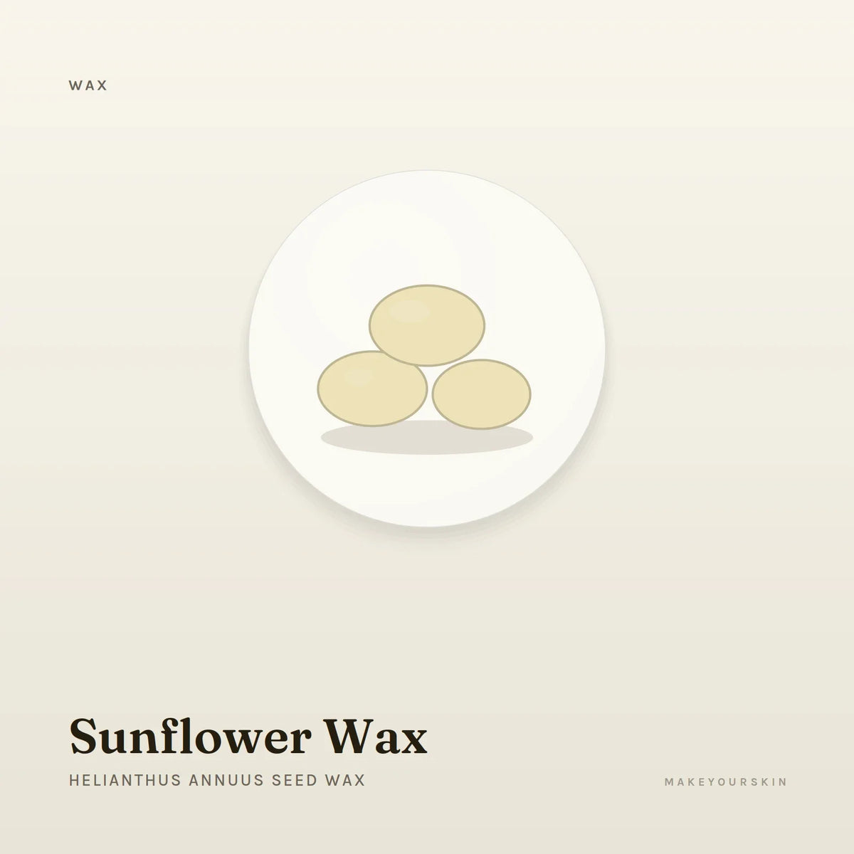 Sunflower Wax (Helianthus Annuus Seed Wax) — wax / solid, Global — MakeYourSkin