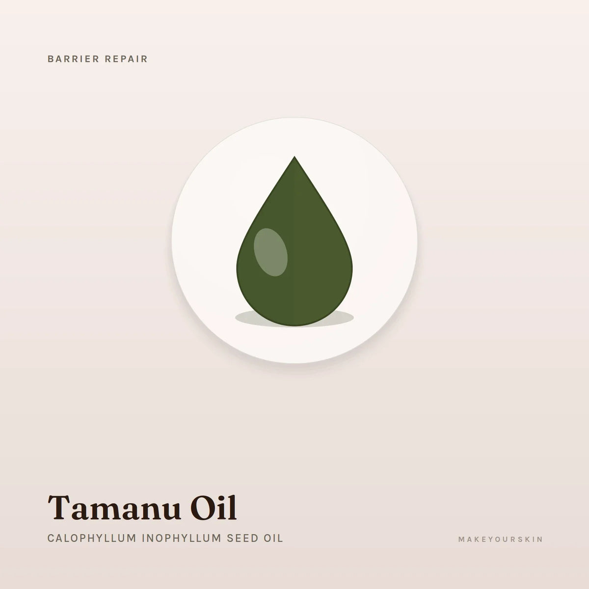 Tamanu Oil (Calophyllum Inophyllum Seed Oil) — oil, Global — MakeYourSkin