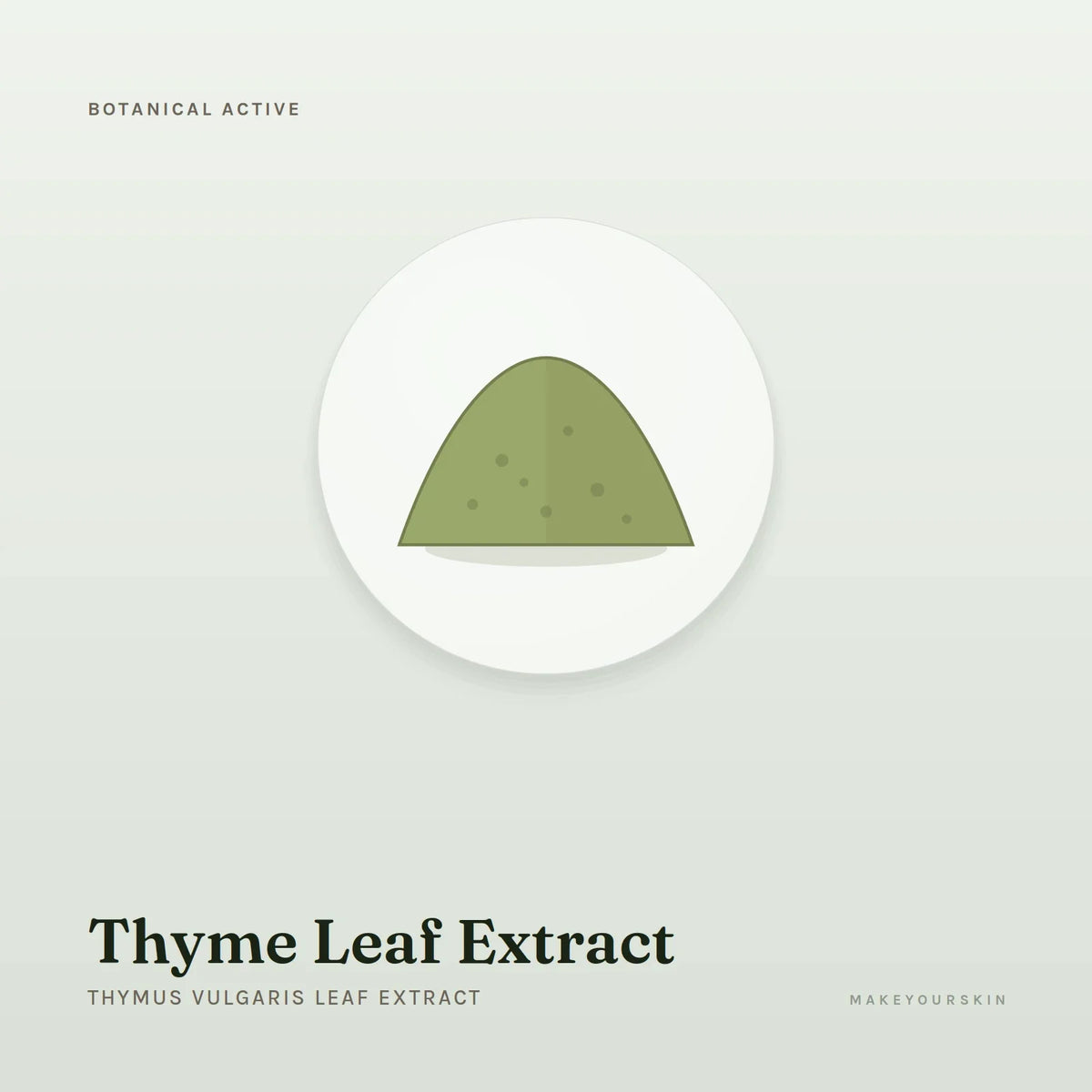 Thyme Leaf Extract (Thymus Vulgaris Leaf Extract) — powder, Global — MakeYourSkin