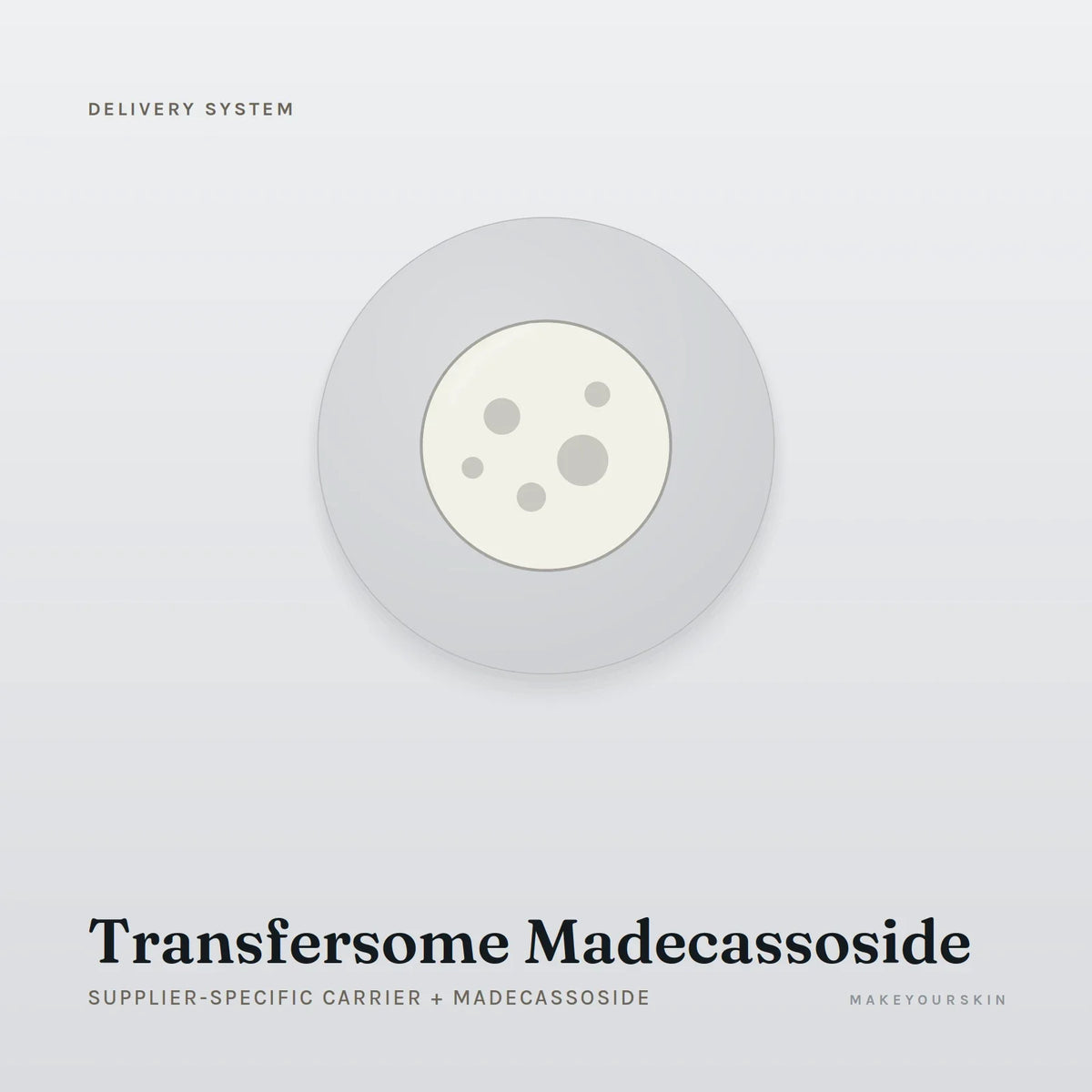 Transfersome Madecassoside (Supplier-specific carrier + Madecassoside) — dispersion, Global — MakeYourSkin