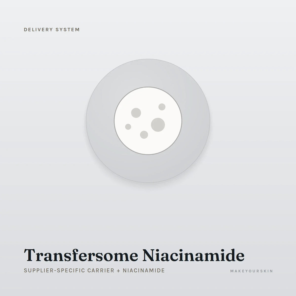 Transfersome Niacinamide (Supplier-specific carrier + Niacinamide) — dispersion, Global — MakeYourSkin