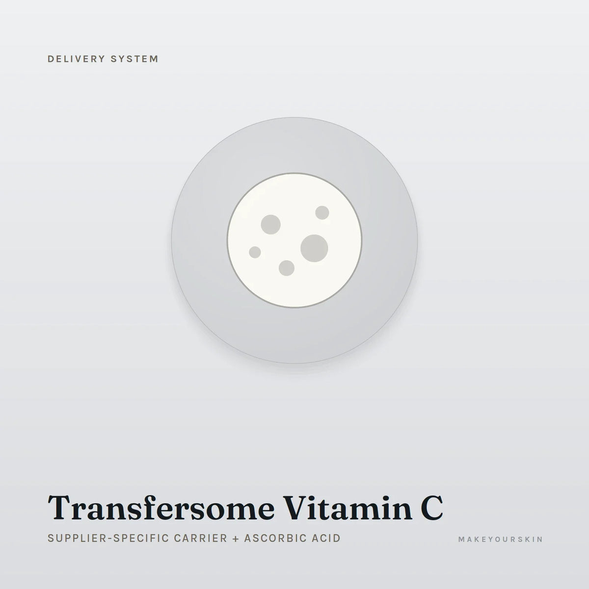 Transfersome Vitamin C (Supplier-specific carrier + Ascorbic Acid) — dispersion, Global — MakeYourSkin