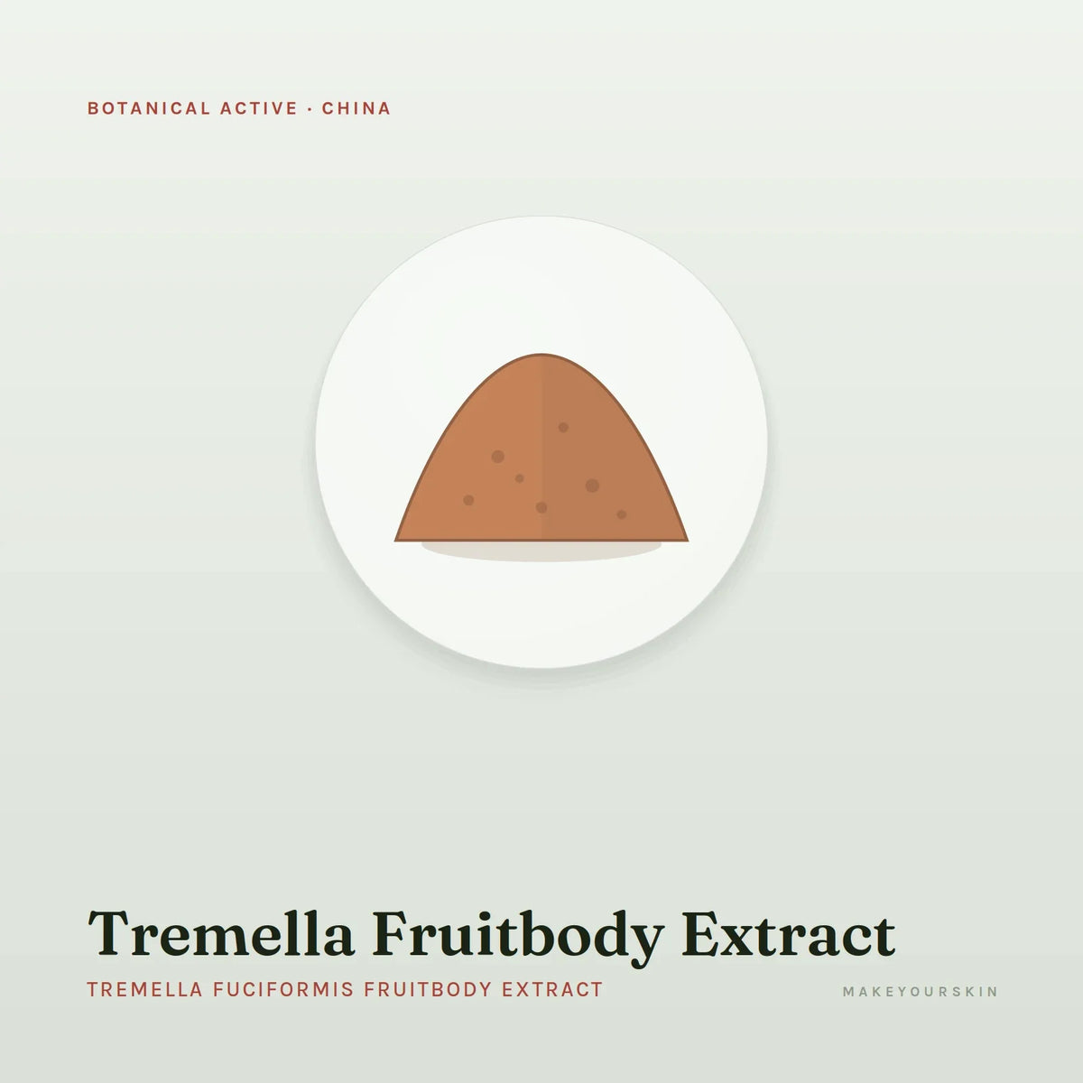Tremella Fruitbody Extract (Tremella Fuciformis Fruitbody Extract) — powder, China · TCM — MakeYourSkin