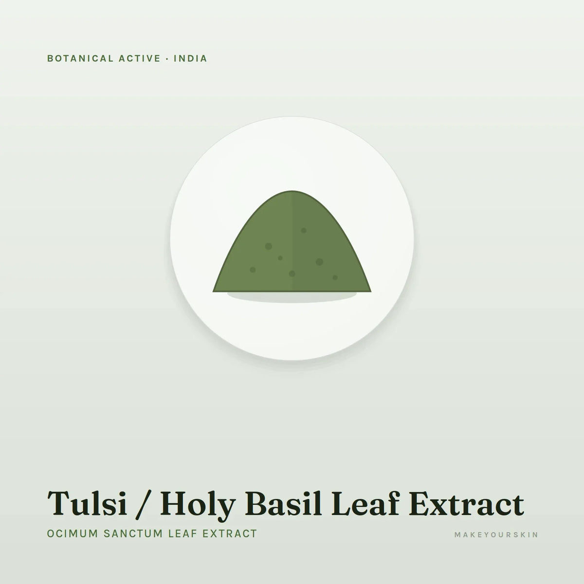 Tulsi / Holy Basil Leaf Extract (Ocimum Sanctum Leaf Extract) — powder, India · Ayurveda — MakeYourSkin