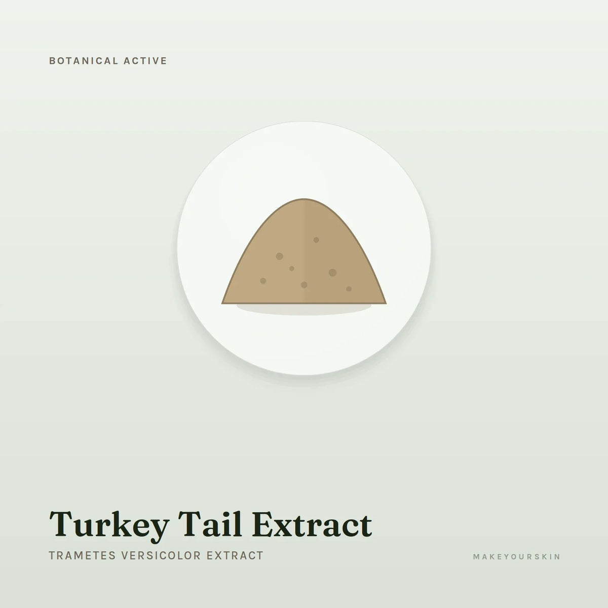 Turkey Tail Extract (Trametes Versicolor Extract) — powder, Global — MakeYourSkin