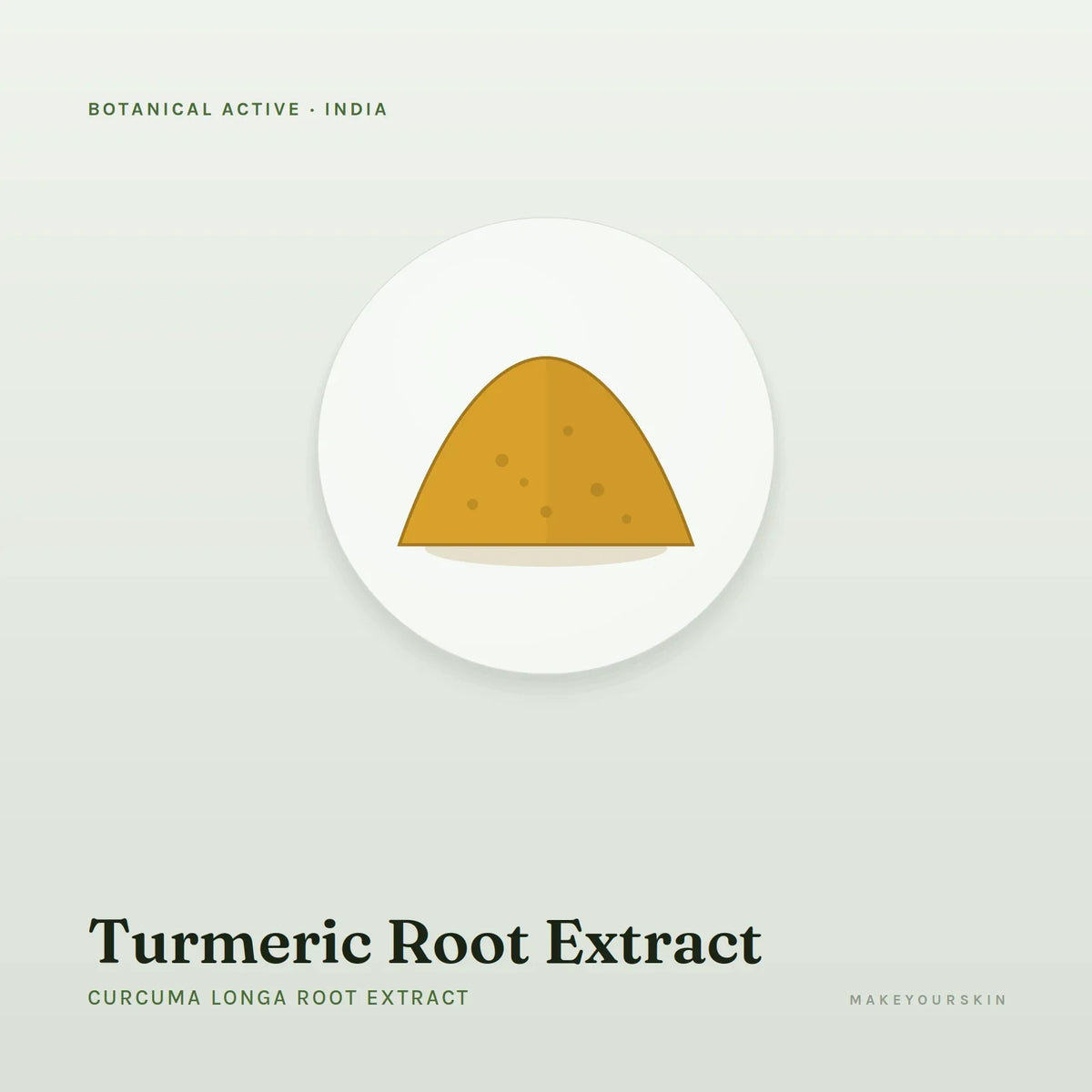Turmeric Root Extract (Curcuma Longa Root Extract) — powder, India · Ayurveda — MakeYourSkin