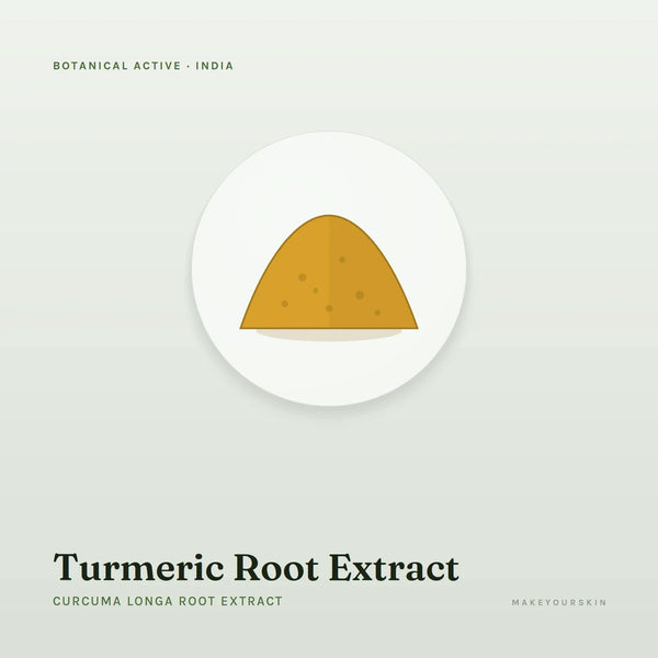 Turmeric Root Extract (Curcuma Longa Root Extract) — powder, India · Ayurveda — MakeYourSkin