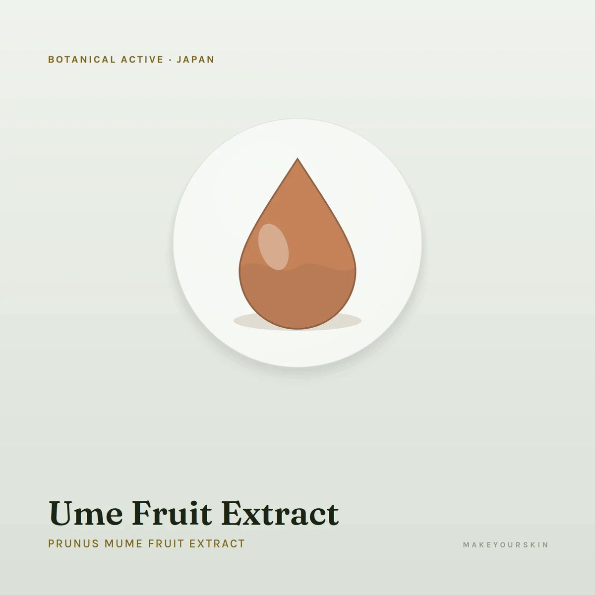 Ume Fruit Extract (Prunus Mume Fruit Extract) — liquid, Japan · J-Beauty — MakeYourSkin