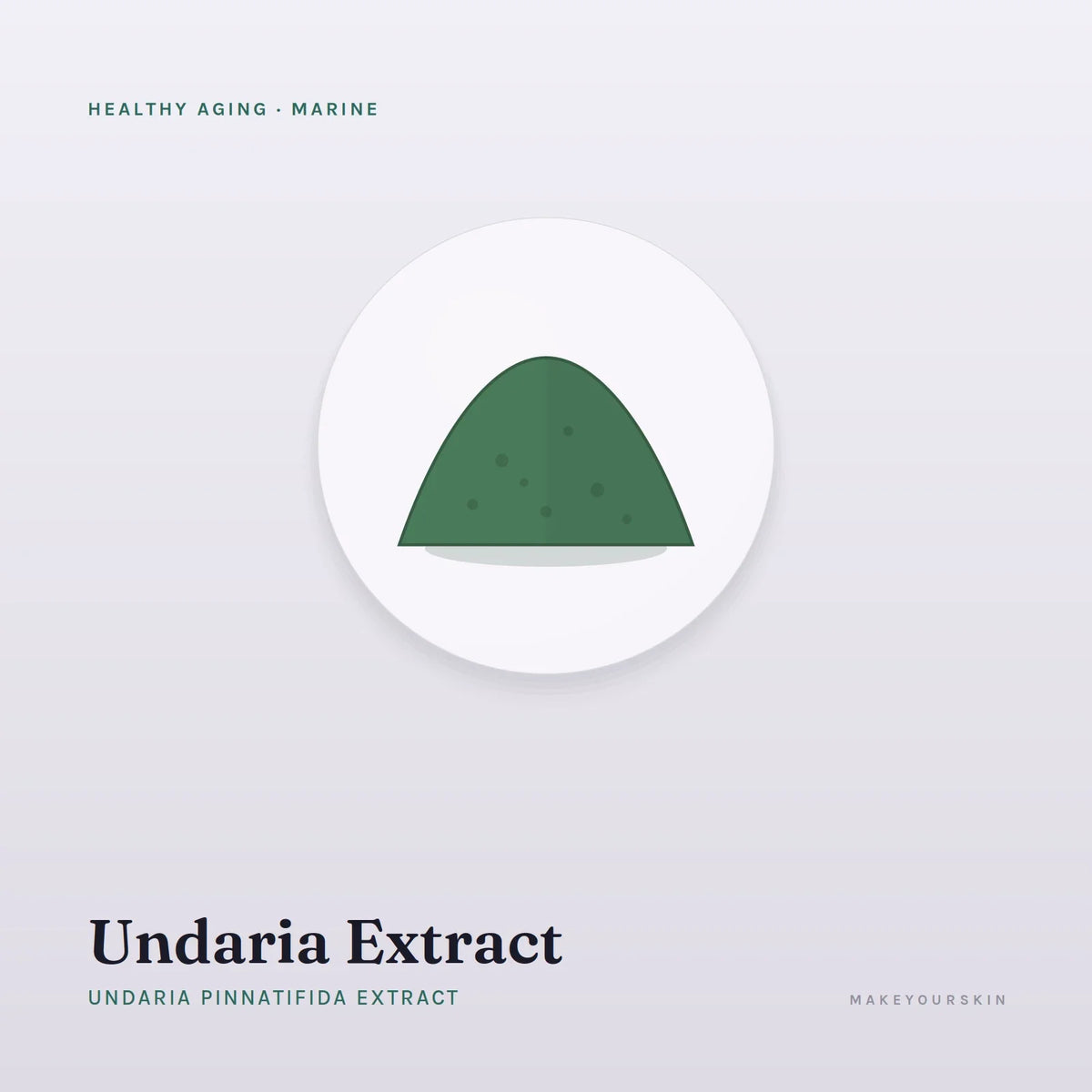 Undaria Extract (Undaria Pinnatifida Extract) — powder, Marine · Algae — MakeYourSkin
