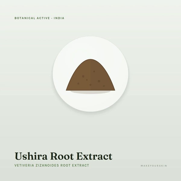 Ushira Root Extract (Vetiveria Zizanoides Root Extract) — powder, India · Ayurveda — MakeYourSkin