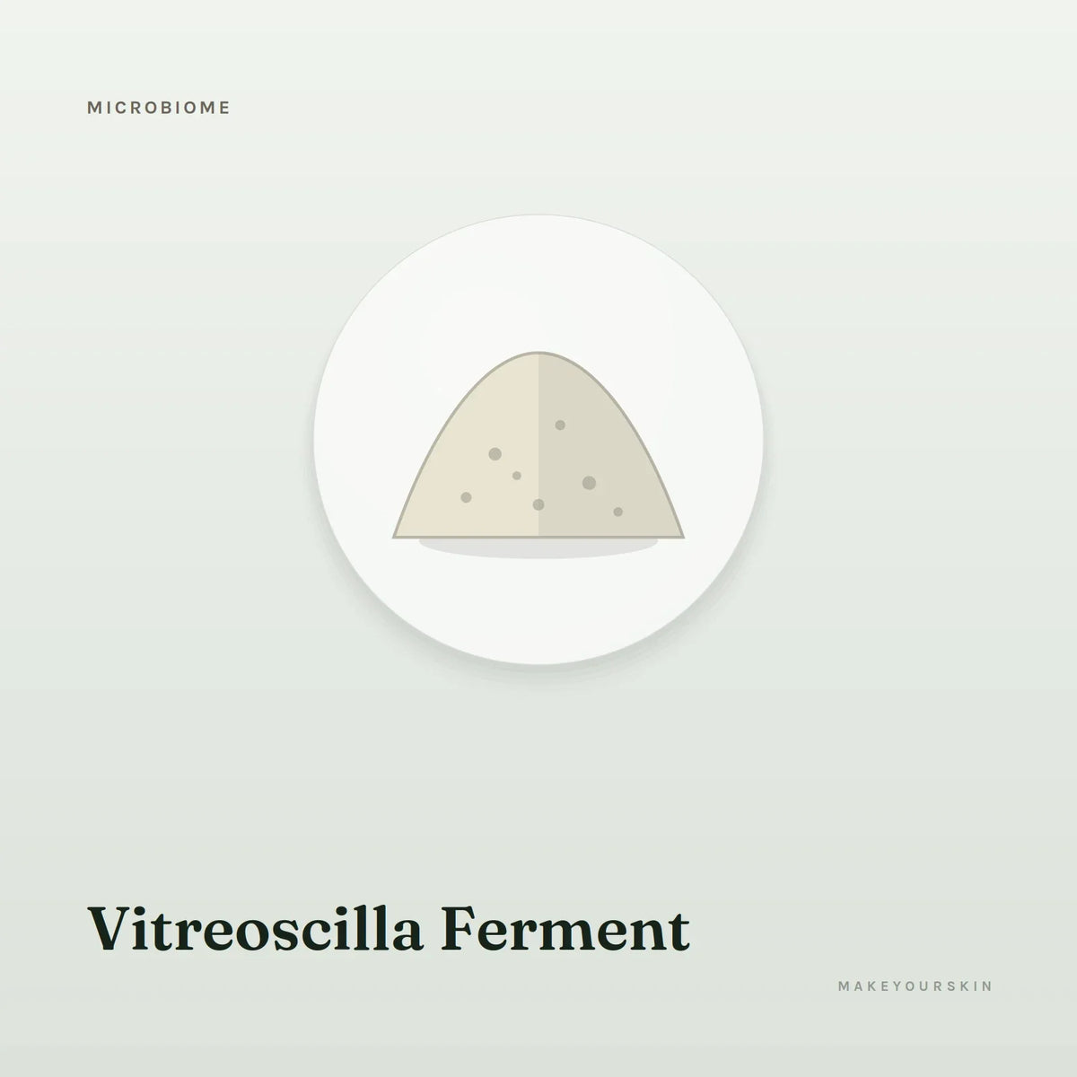 Vitreoscilla Ferment — powder, Global — MakeYourSkin