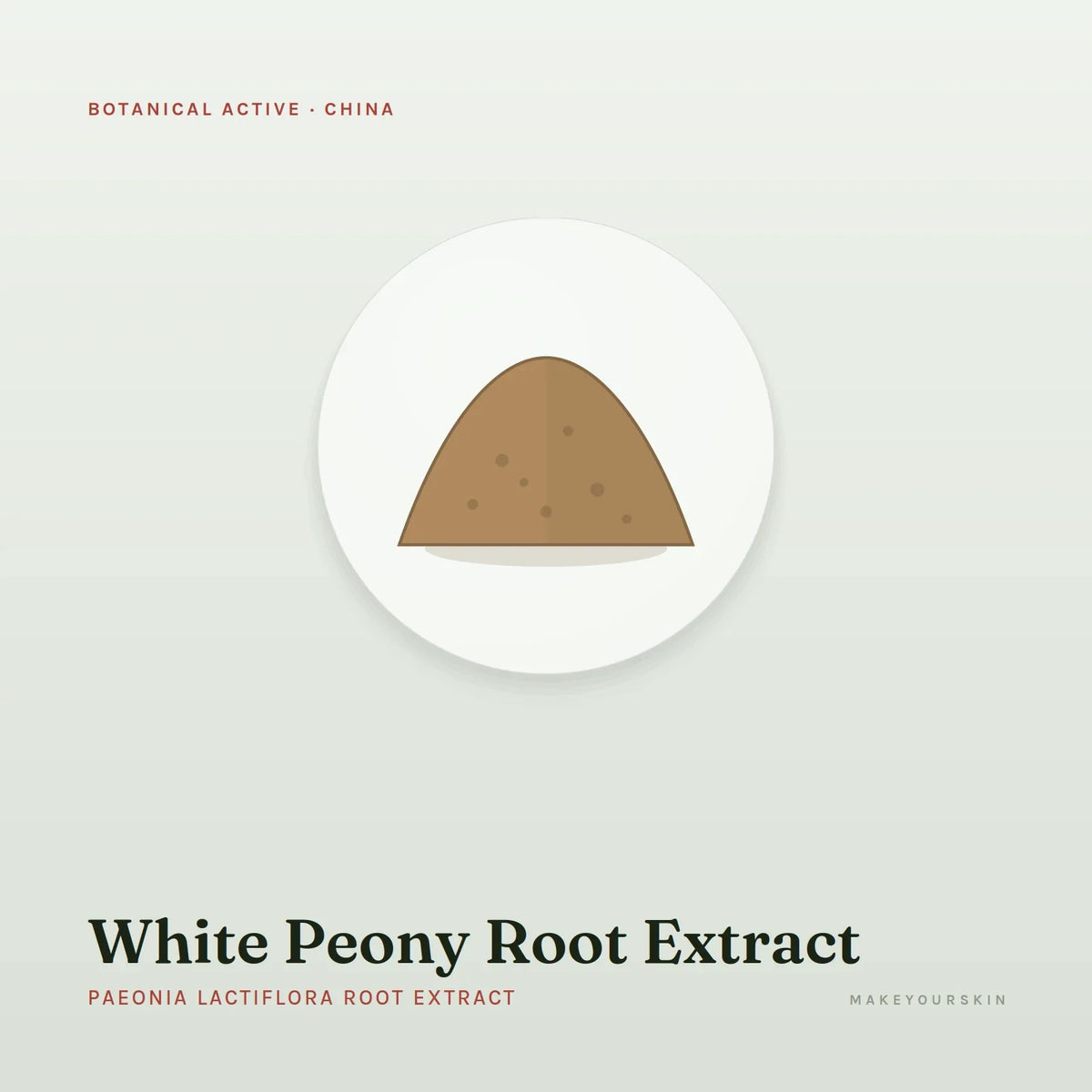 White Peony Root Extract (Paeonia Lactiflora Root Extract) — powder, China · TCM — MakeYourSkin