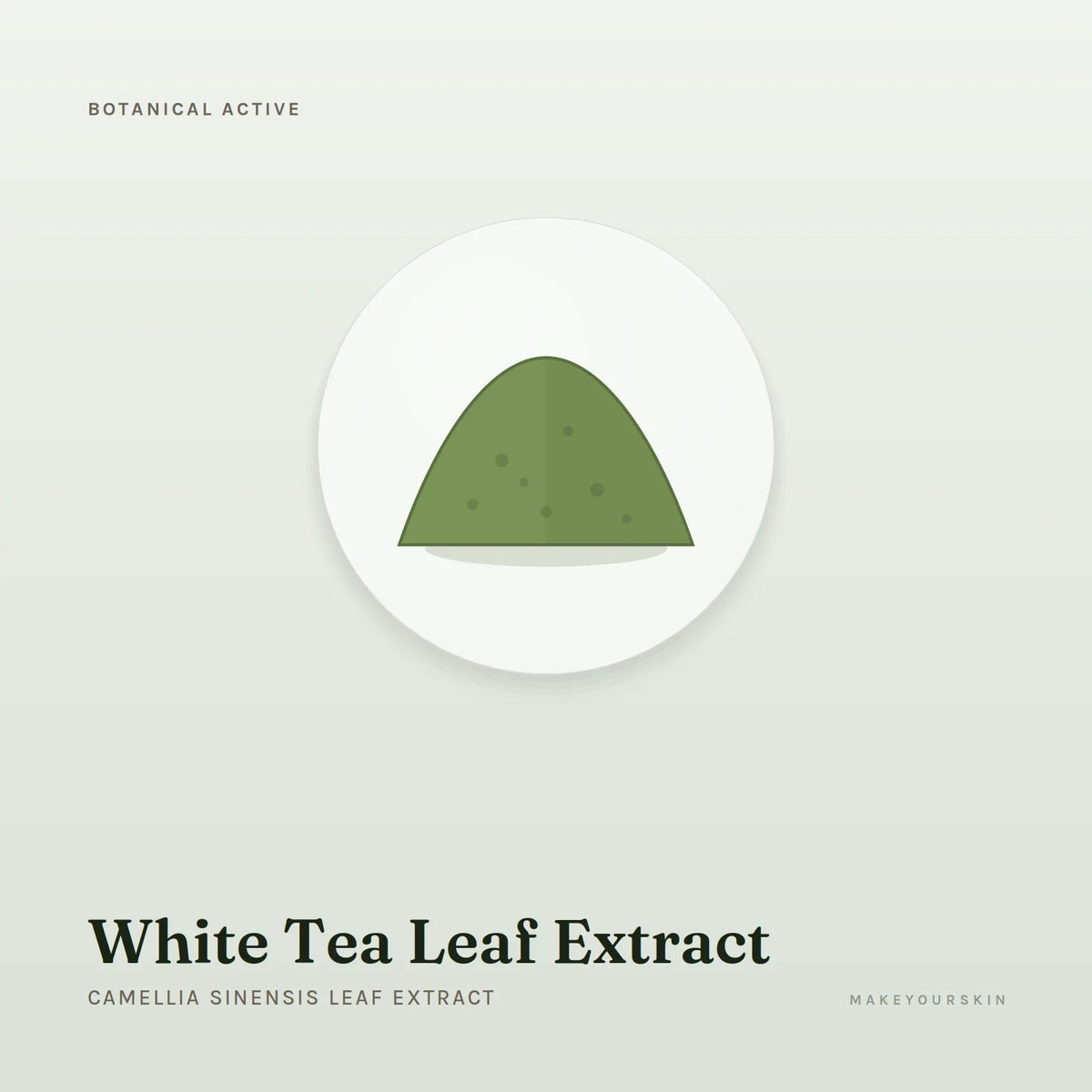 White Tea Leaf Extract (Camellia Sinensis Leaf Extract) — powder, Global — MakeYourSkin