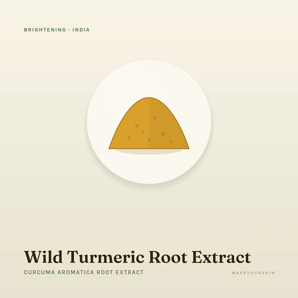 Wild Turmeric Root Extract (Curcuma Aromatica Root Extract) — powder, India · Ayurveda — MakeYourSkin