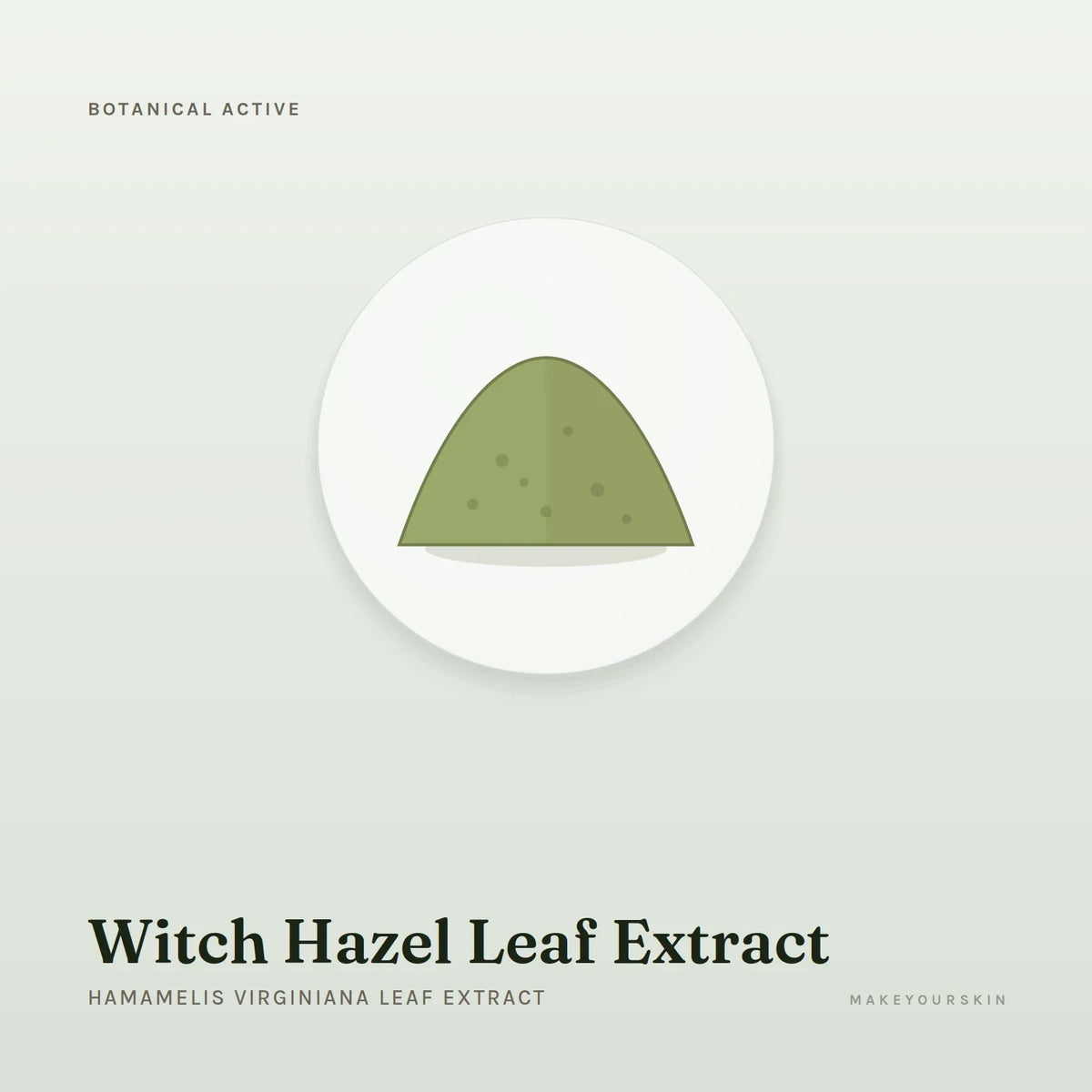 Witch Hazel Leaf Extract (Hamamelis Virginiana Leaf Extract) — powder, Global — MakeYourSkin