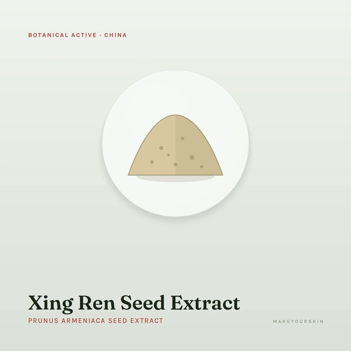 Xing Ren Seed Extract (Prunus Armeniaca Seed Extract) — powder, China · TCM — MakeYourSkin