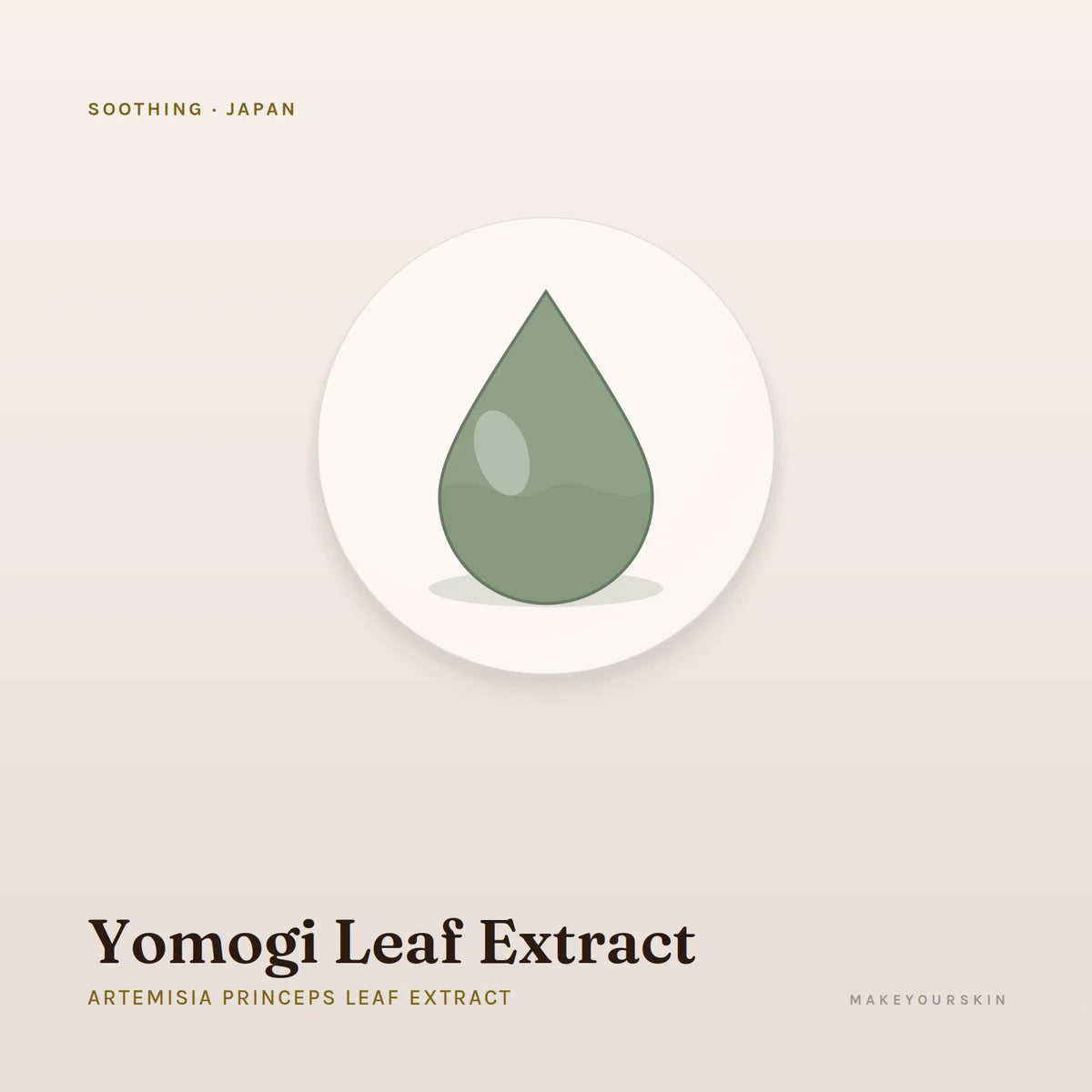 Yomogi Leaf Extract (Artemisia Princeps Leaf Extract) — liquid, Japan · J-Beauty — MakeYourSkin